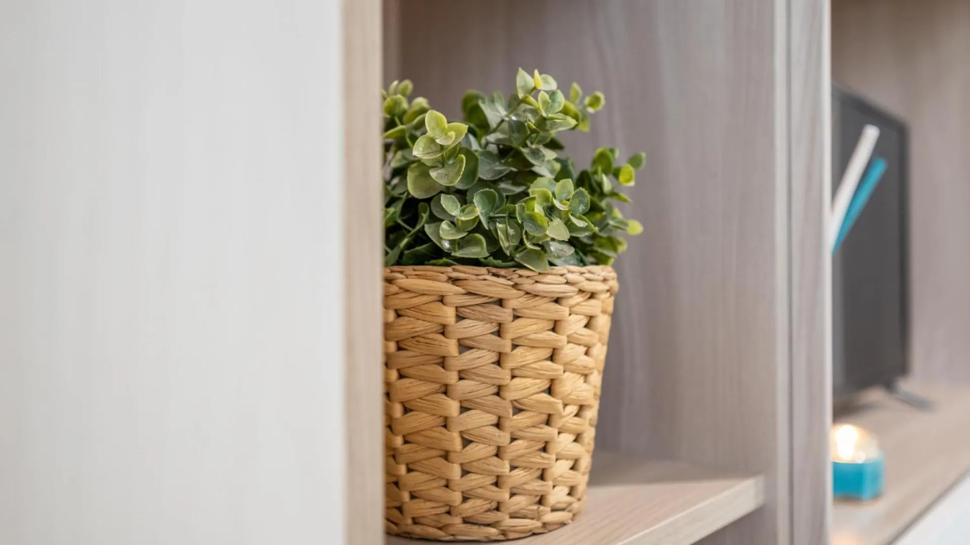דירה פיזה Sage&Rosemary Home - With Garden By Pleiades Home